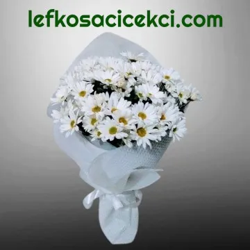 Beyaz Papatya Buketi