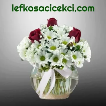 Fanusta 3 Kırmızı Gül ve Papatya