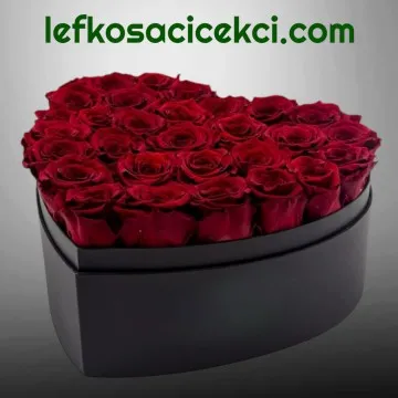 Kalpte 27 Kırmızı Gül