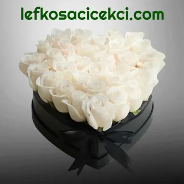 Kalpte 27 Beyaz Gül