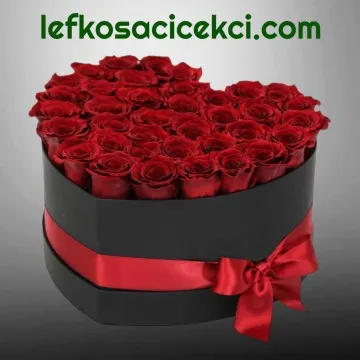 Kalpte 41 Kırmızı Gül