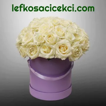 Kutuda 21 Beyaz Gül