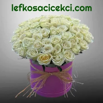 Kutuda 51 Beyaz Gül