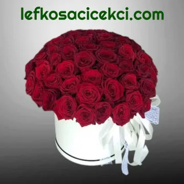 Kutuda 51 Kırmızı Gül