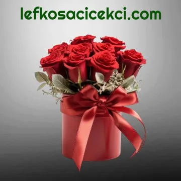 Kutuda 9 Kırmızı Gül