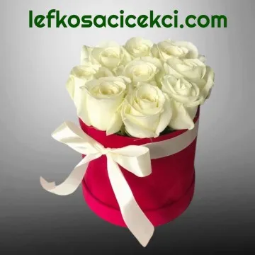 Kutuda 9 Beyaz Gül