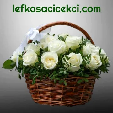 Sepette 21 Beyaz Gül
