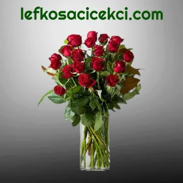 Vazoda 19 Kırmızı Gül
