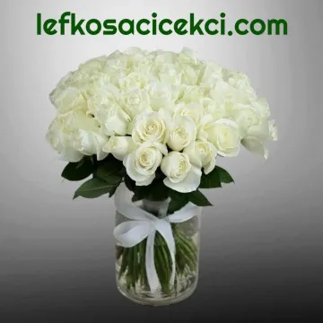 Vazoda 51 Beyaz Gül