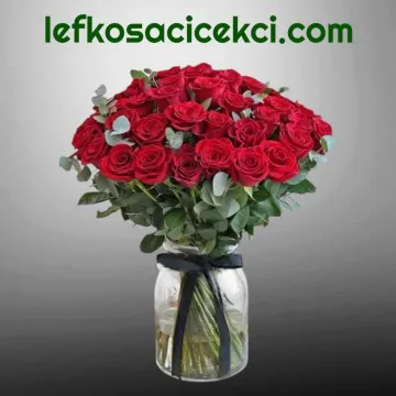 Vazoda 51 Kırmızı Gül