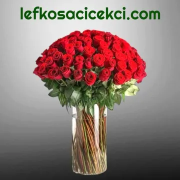 Vazoda 101 Kırmızı Gül