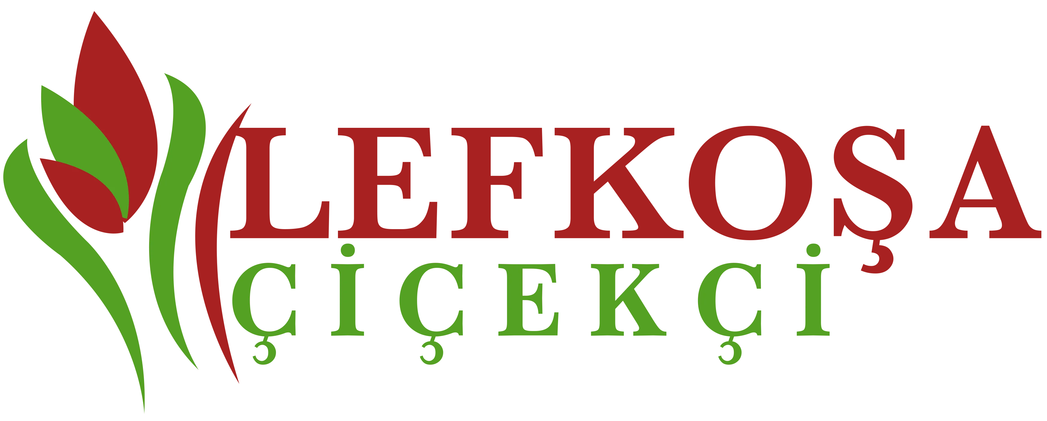 Lefkoşa Çiçekçi